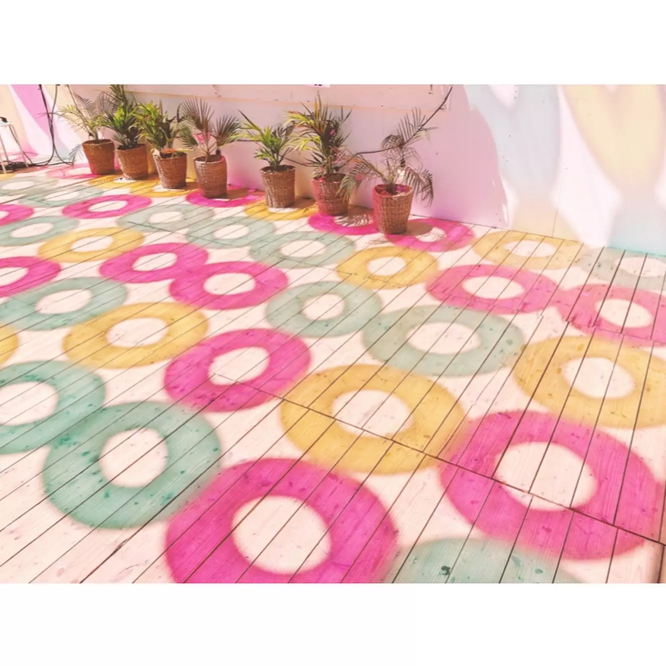 むぎちゃ&#128008;