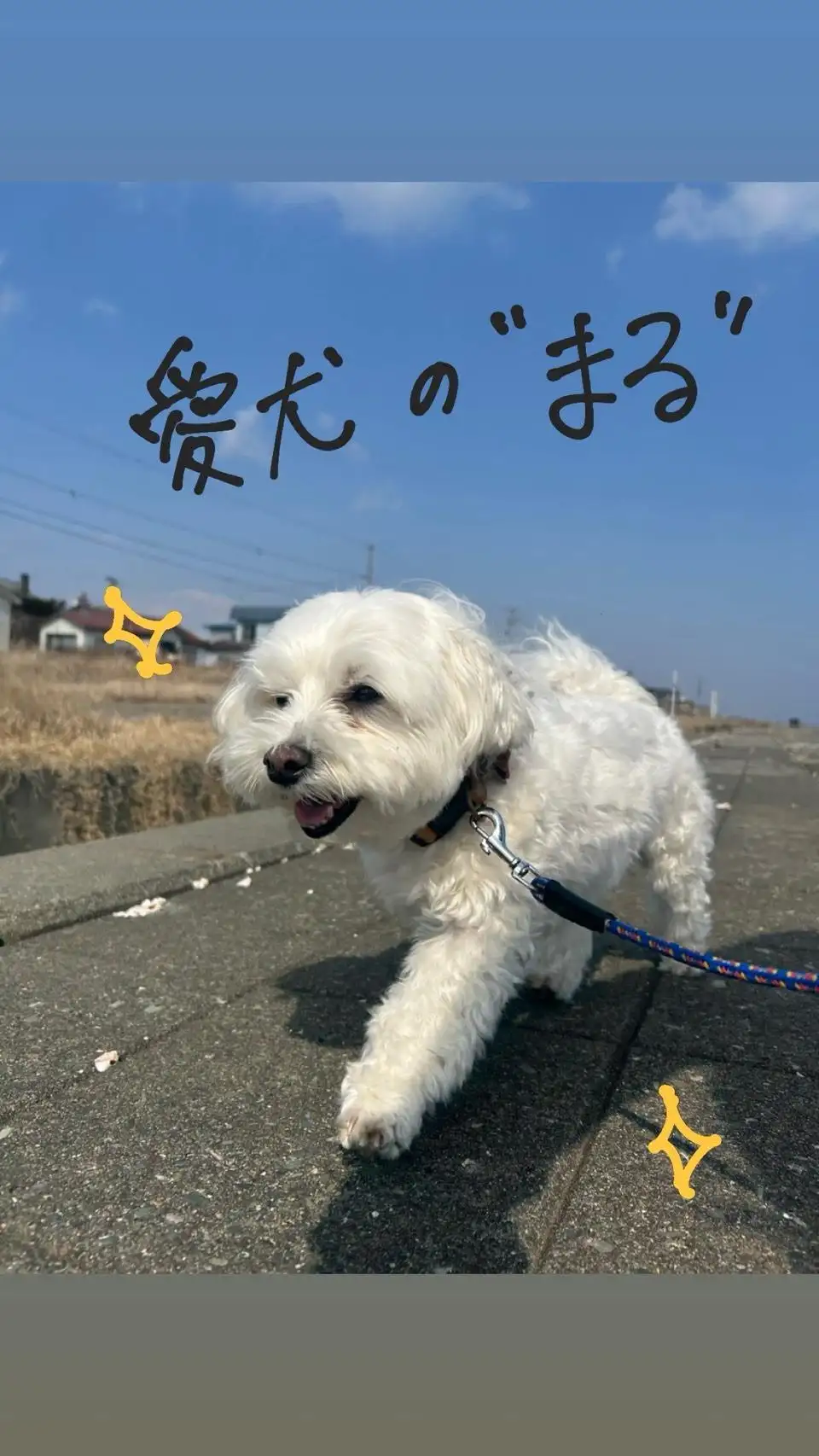 ＋＊なな＊*