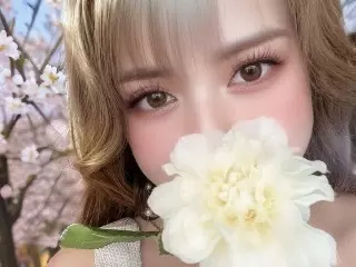 ANGEL LIVE/アダルト/みーちゃん。