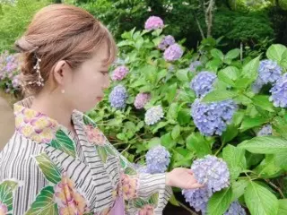 ゆみりすさんはエンジェルライブにログイン中